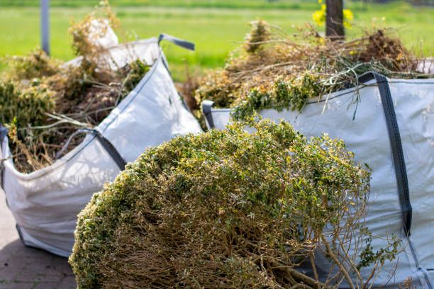 Best Local Junk Hauling  in Fairmount, NY